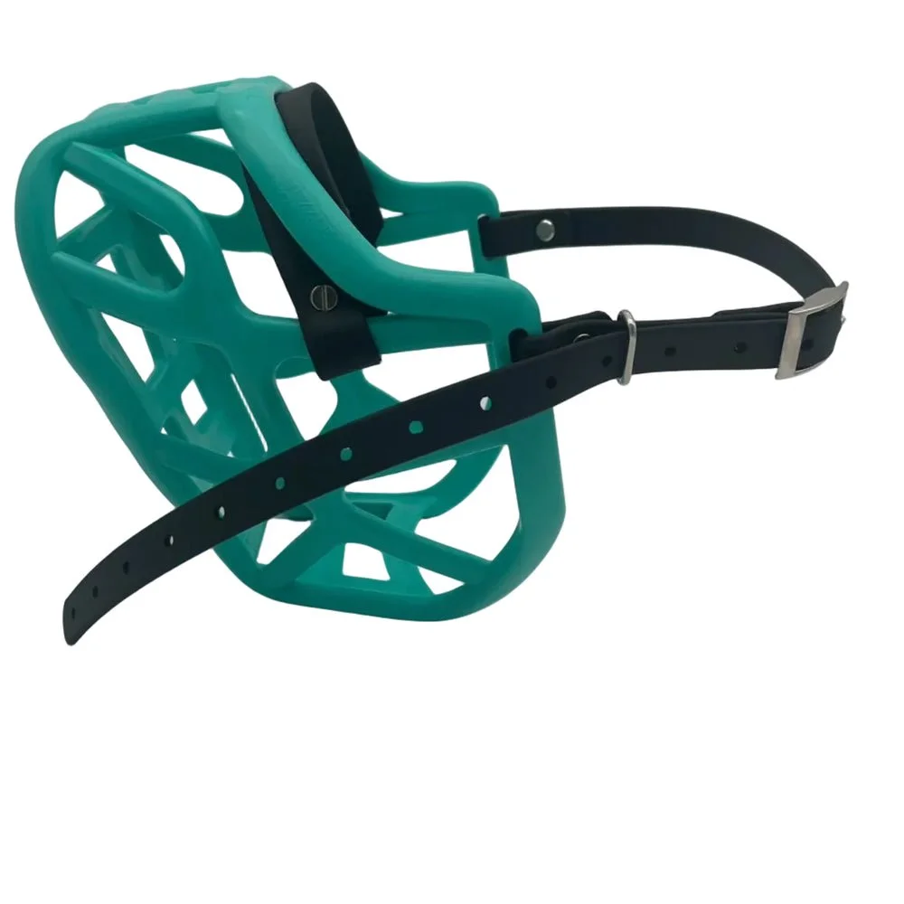 muzzle-harry-2-0-Teal.jpg