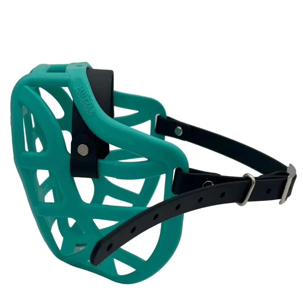 muzzle-pippa-Teal.jpg