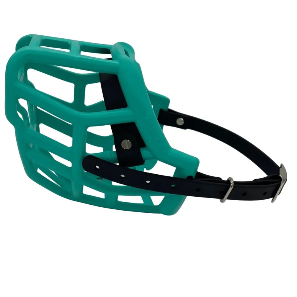 muzzle-tolly-Teal.jpg