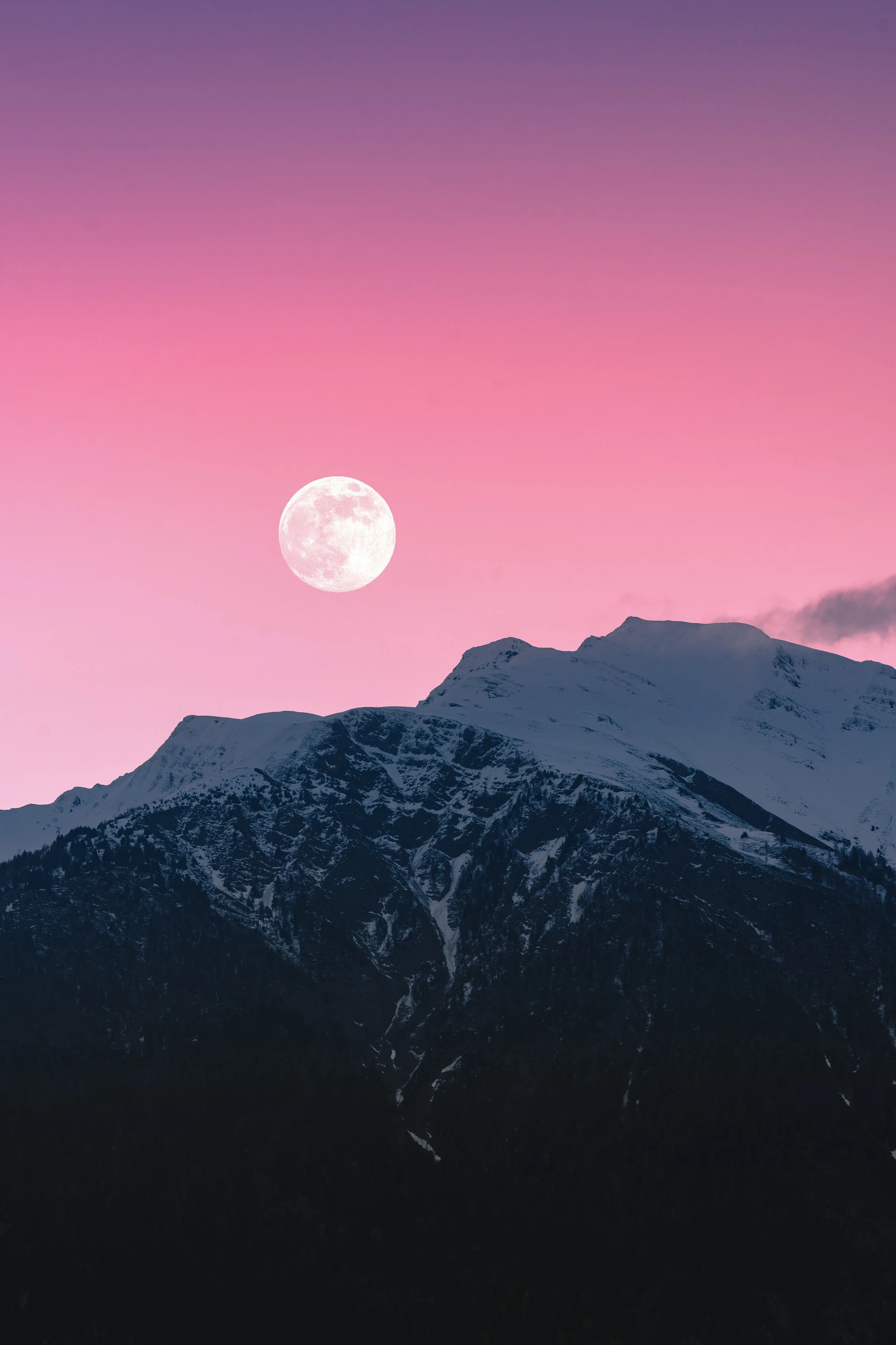 Behavioral Health Moonshots