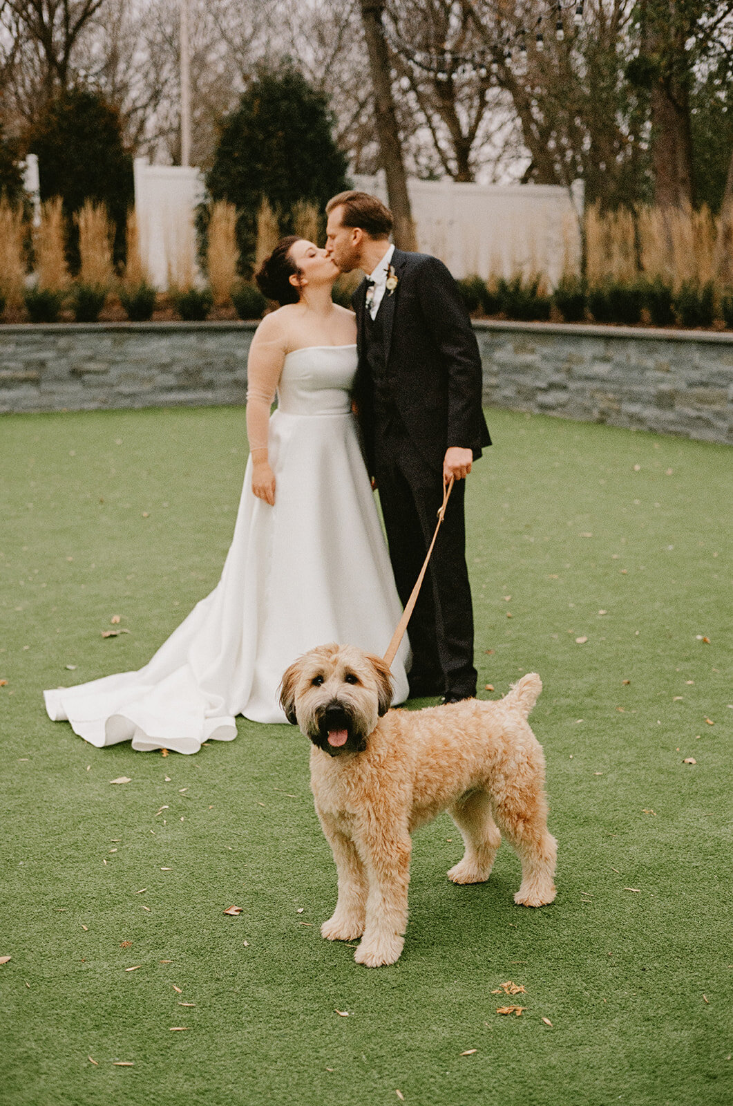 hutton-house-wedding-dog-at-wedding