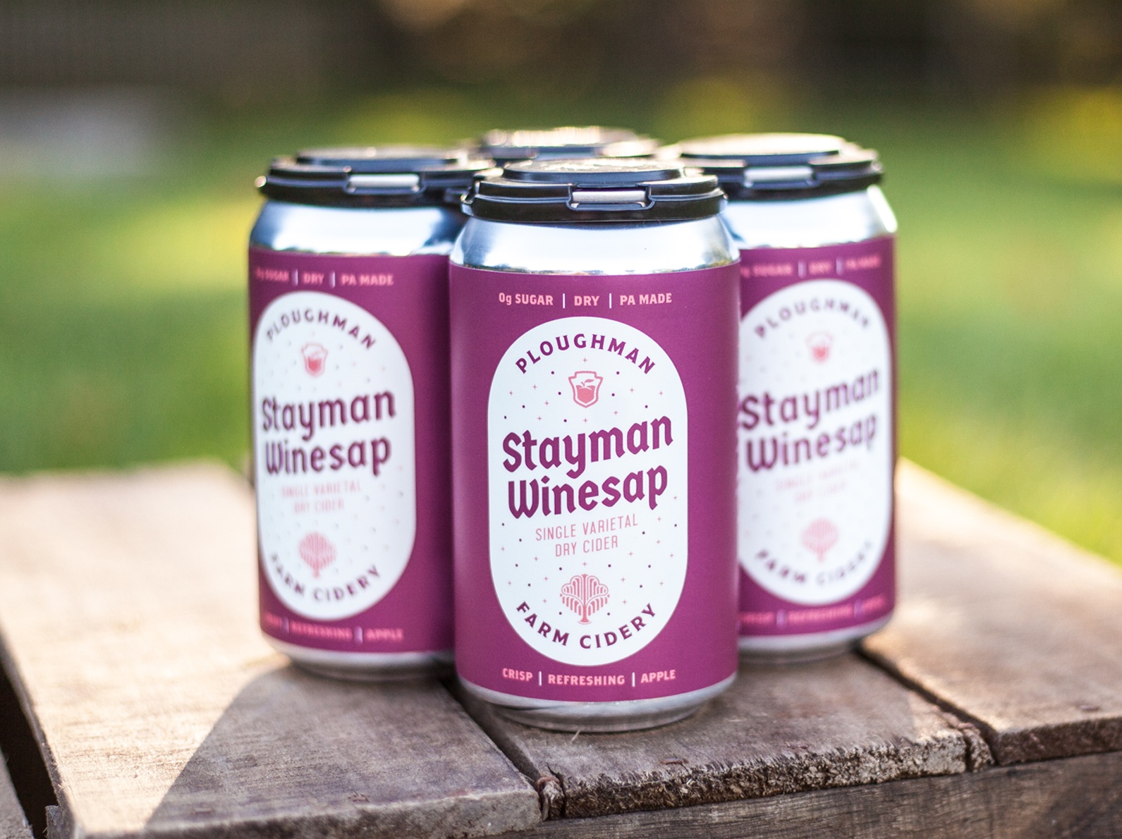ploughman-homepage-cans-stayman.png