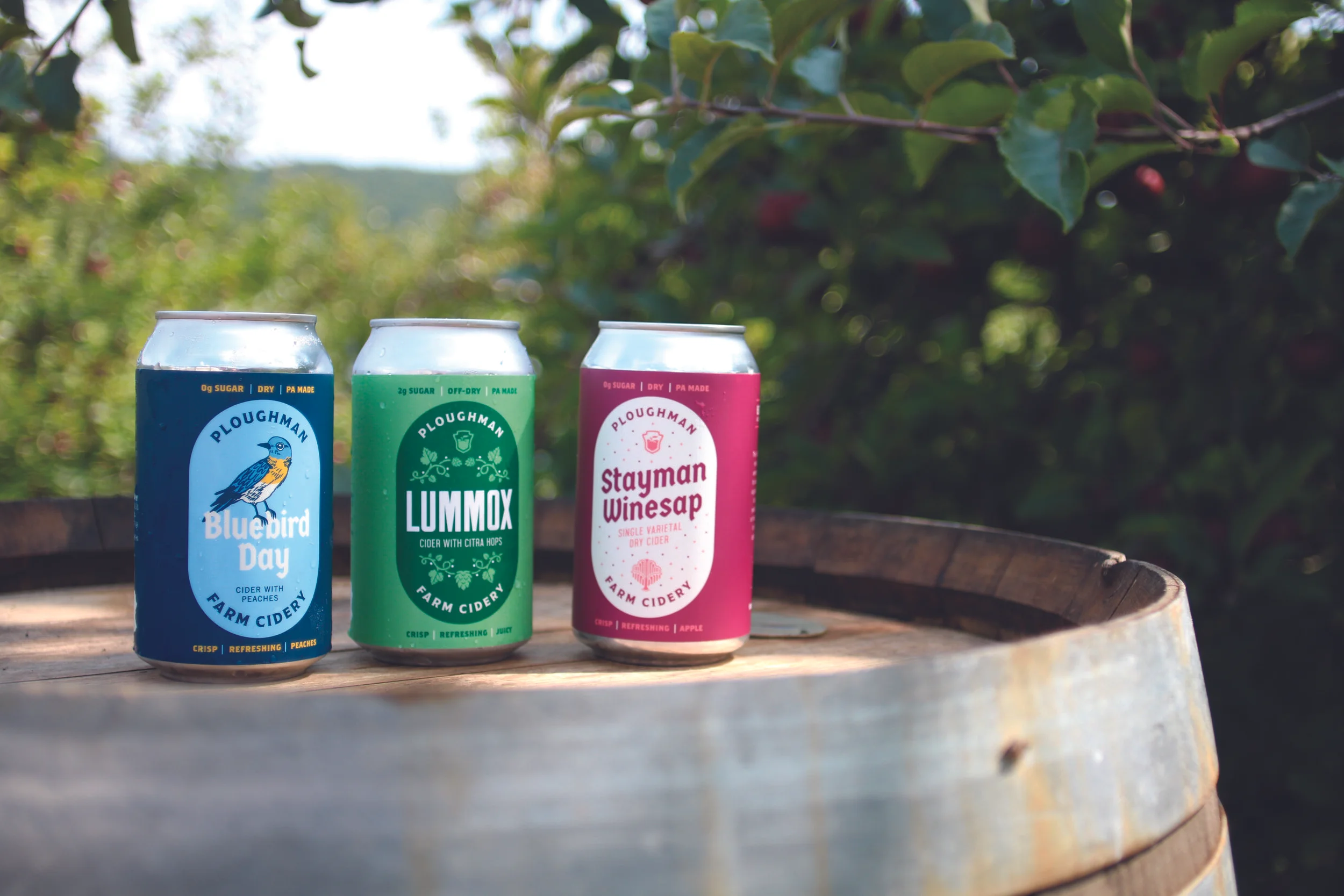 Ploughman Cider Cans