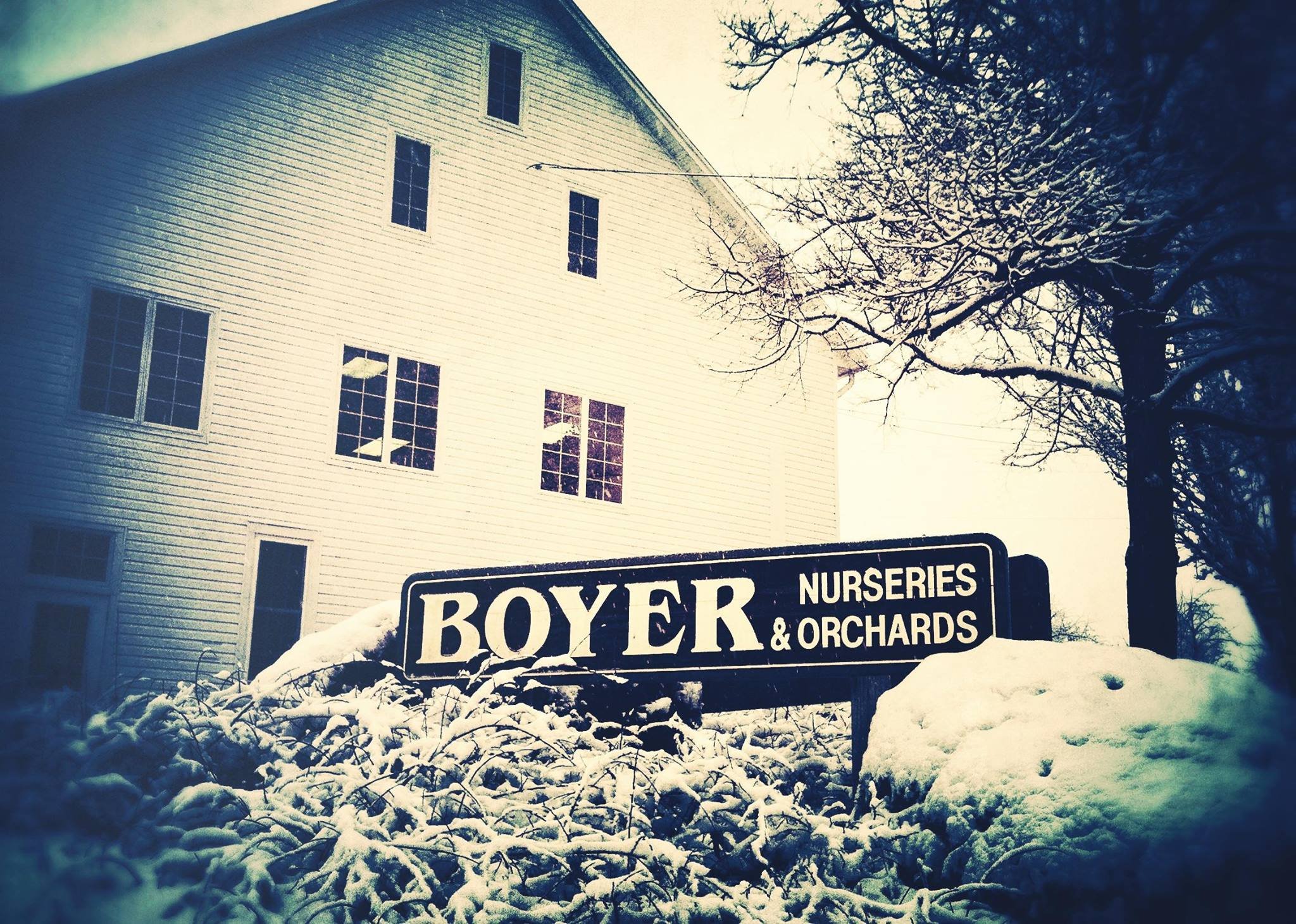 Boyer Nurseries Vintage