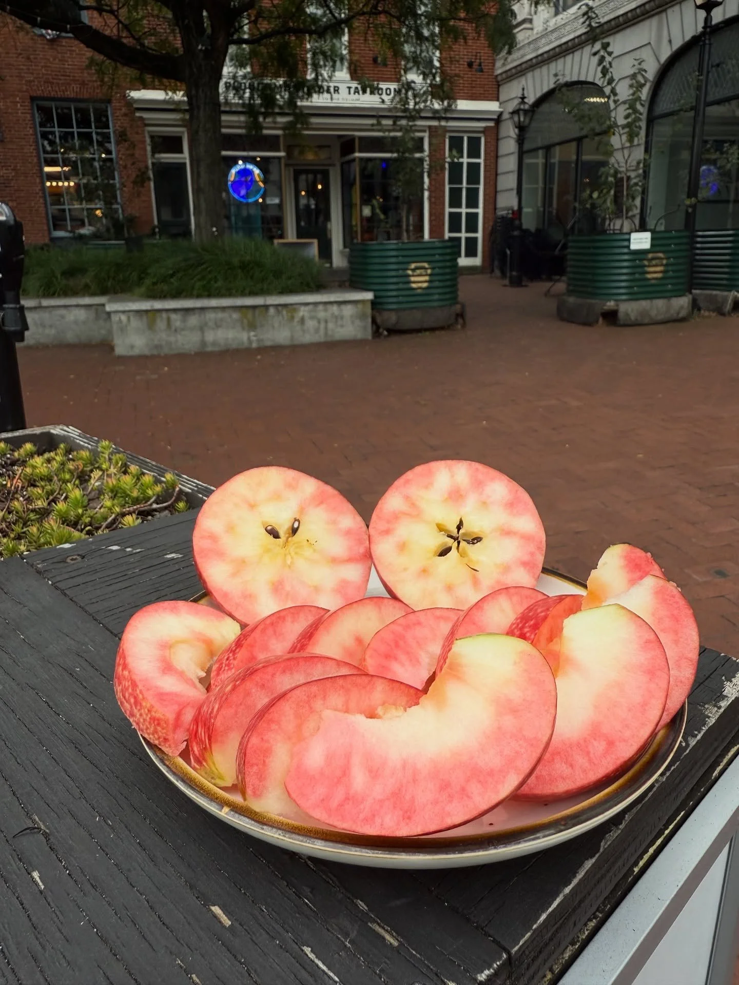 🤩 special addition to Ploughman&rsquo;s lunch this week - these eye-catching, delicious Lucy Rose with every order this week or while supplies last!