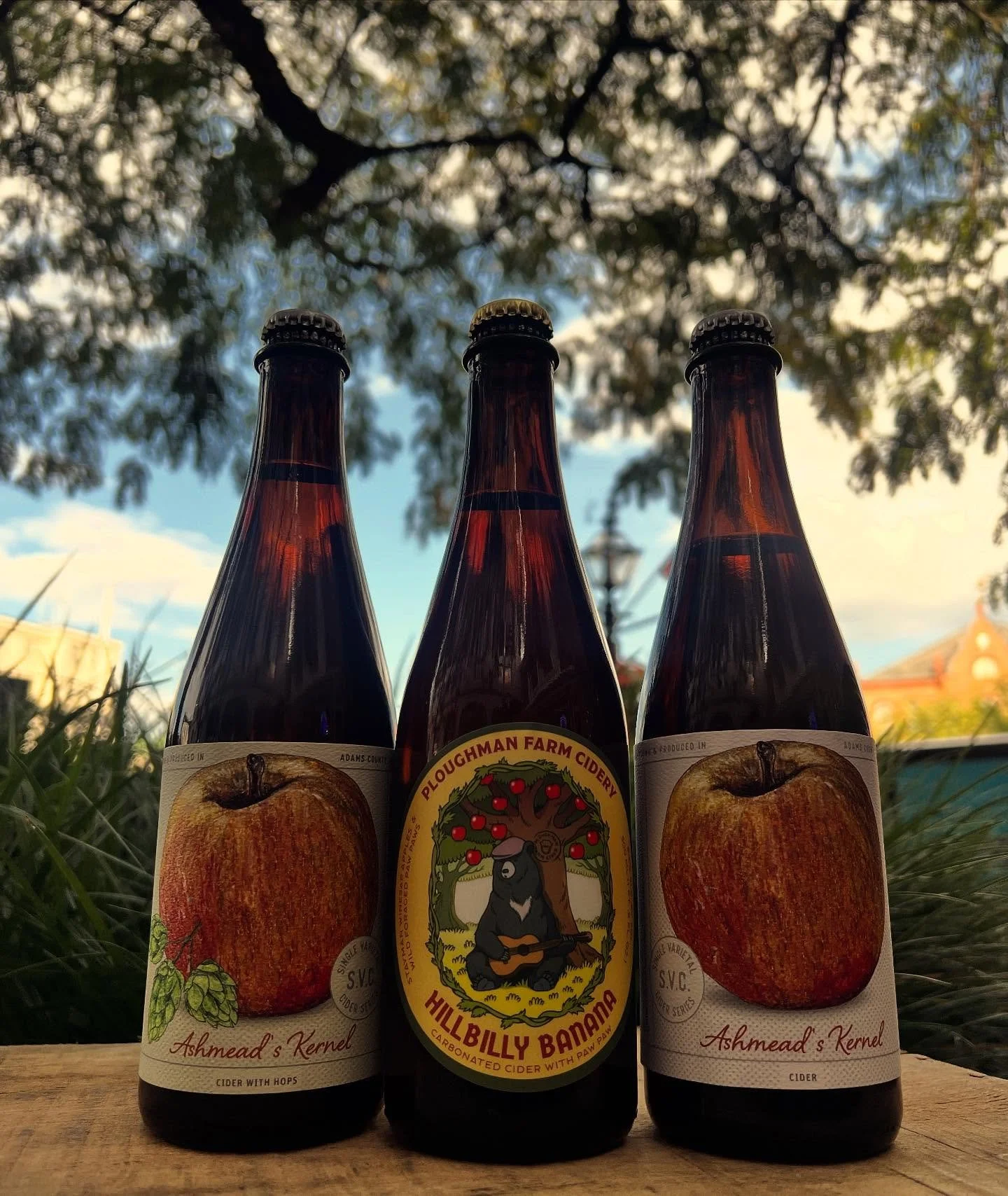 A rare and exciting triple release has dropped!

1. Hillbilly Banana- This highly anticipated cider is a blend of Stayman apples and wild foraged Paw Paw fruit. 

2. Ashmead&rsquo;s Kernel SVC- This crisp, tart, juicy cider is an exciting edition to 