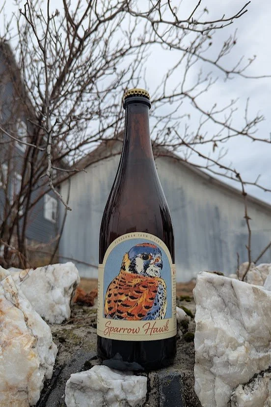 sparrow hawk.jpg