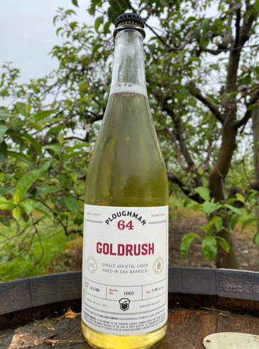 Screenshot 2026-02-12 113600.png