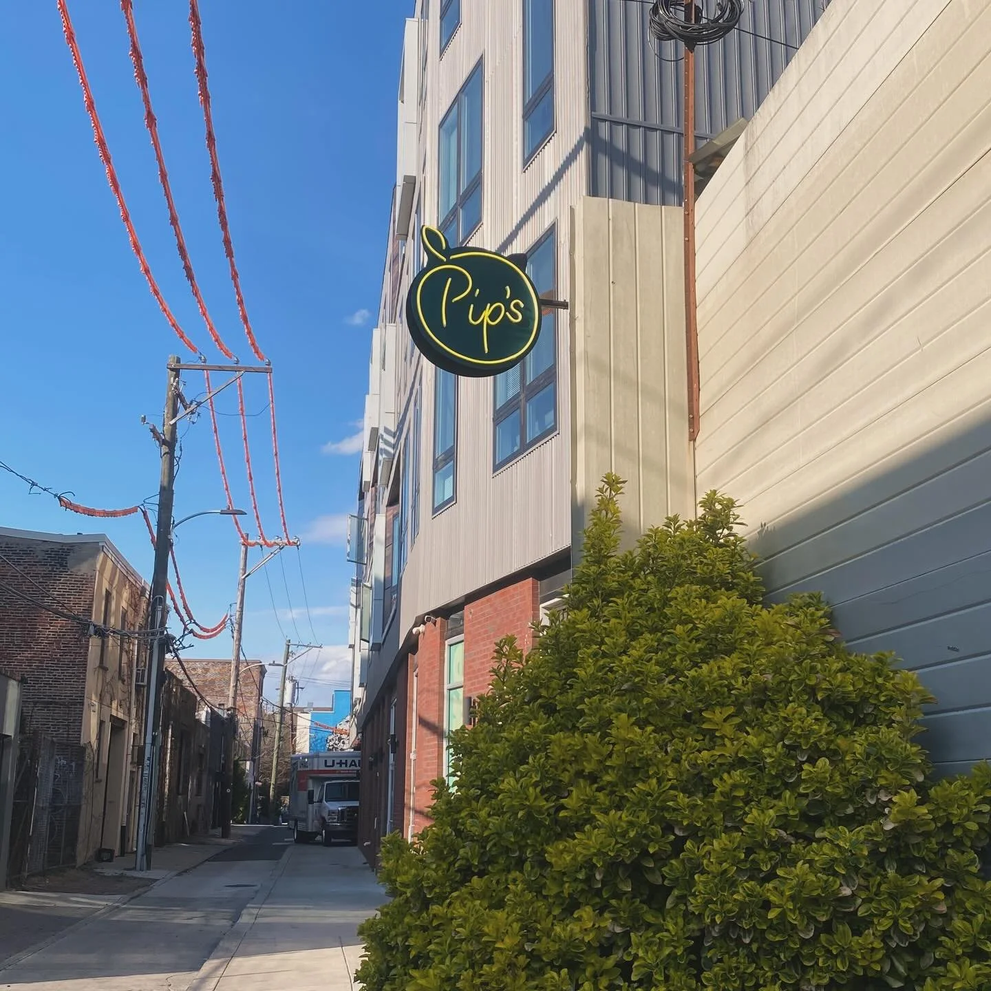 April 19th,2026: Sunday, the Ploughman/Pip&rsquo;s crew held our 1st King Bloom Open to kick off CBC week! Despite a cold, wet morning, the Sun decided to shine brightly just in time for us to welcome friends and colleagues to our new home on Lee str