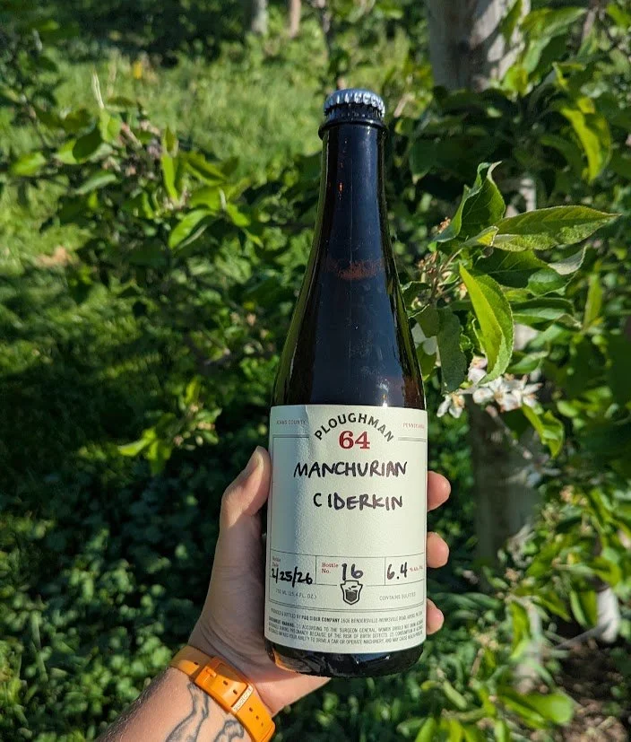 MANCHURIAN CIDERKIN: LOW ABV CIDER