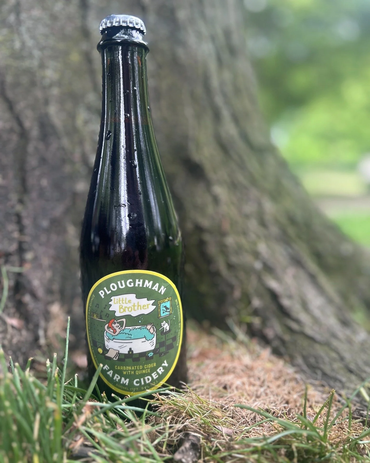 Whoa! Whoa! Whoa! Somebody's made another cider. Little Brother, a quince cider next of kin, is definitely worth a jump in the tub. ⭕