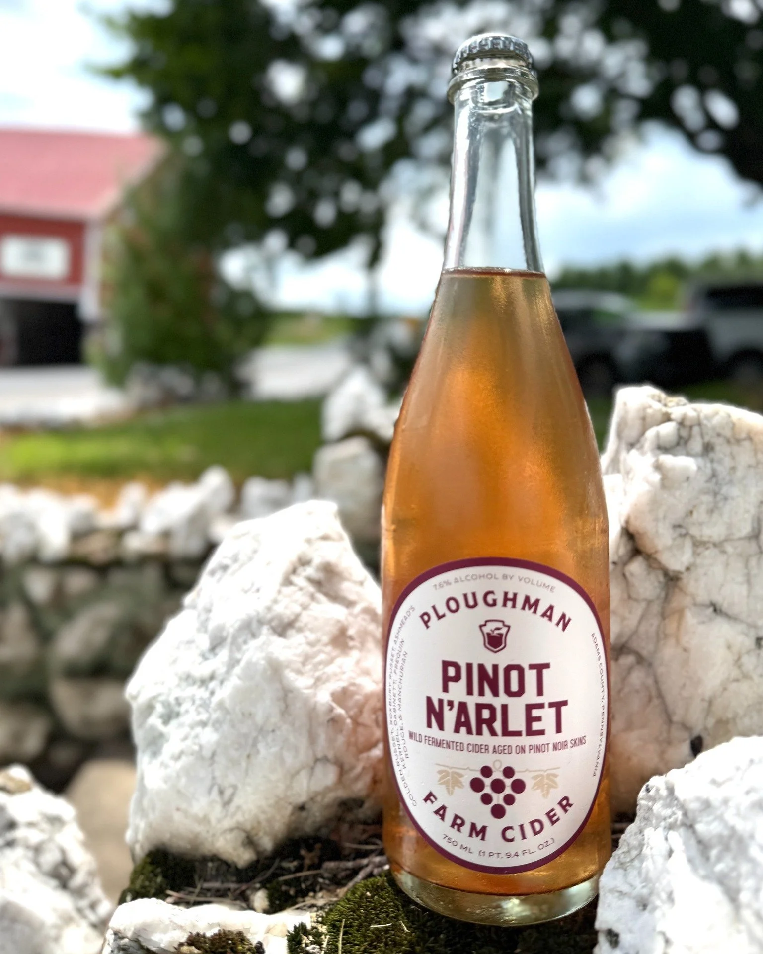 Just in time for PA Cider Fest, we're so proud to present our latest version of Pinot N'Arlet. Attendees will be the first to sample and purchase this latest cider-on-the-skins ros&eacute; which boasts a big, fruity bouquet of six of our favorite cid