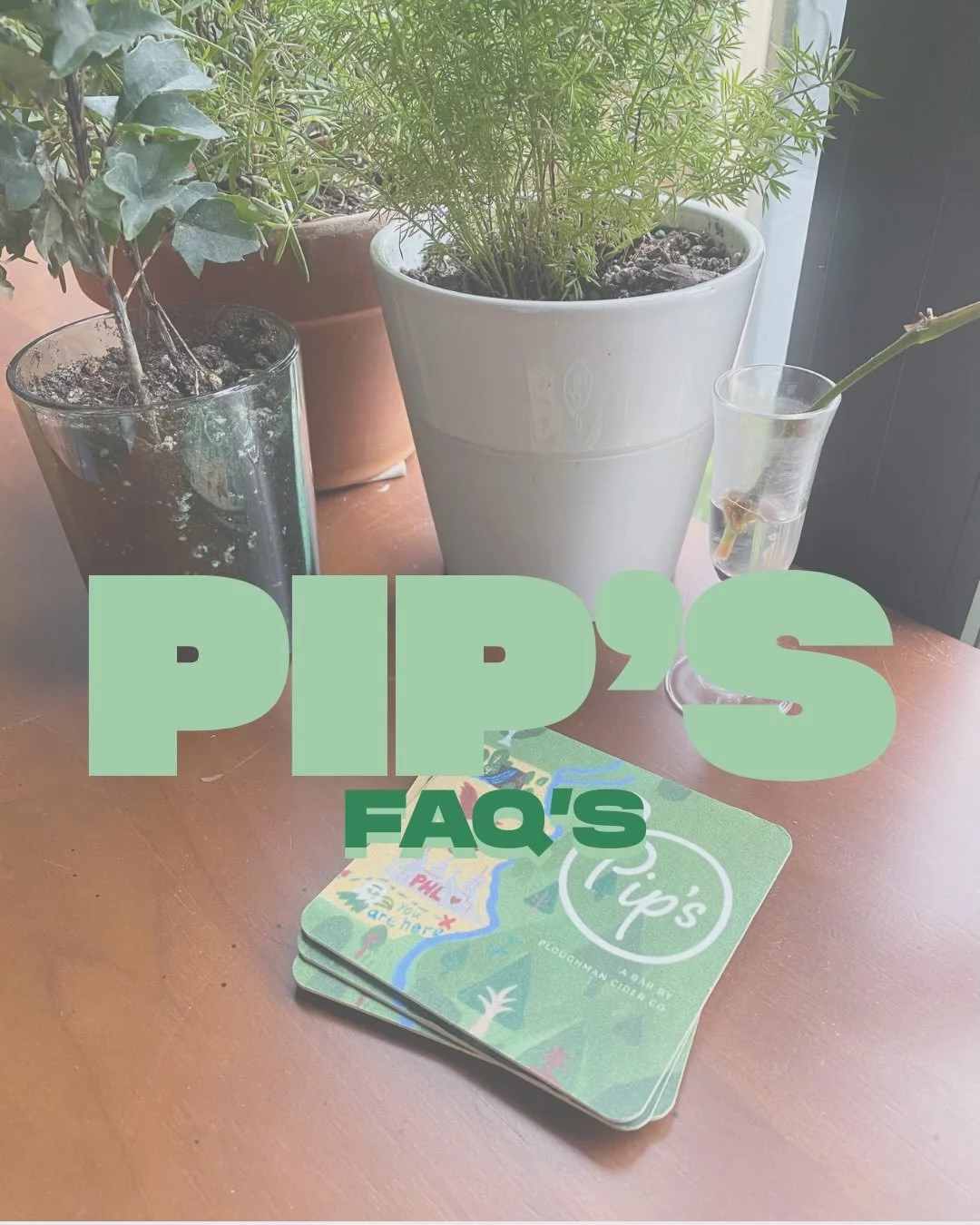 Hey friends!! We&rsquo;ve rounded up some of our most frequently asked questions!!

From our opening hours and hot dog service to how our cider is made and where you can find it, we&rsquo;ve answered the questions we hear most often&mdash;all in one 