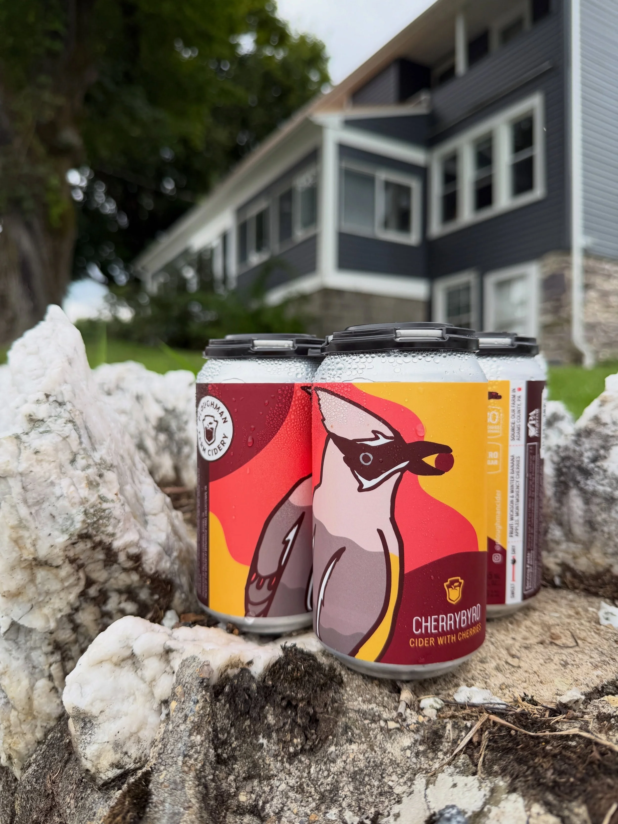 Cherrybyrd is here! We blended our own Montmorency tart cherries with Wickson and Winter Banana apples to create a fruity, dry-finishing cider with cherries. This pink-hued beverage has much of the same appeal as our beloved Birdwatcher - the Cedar W