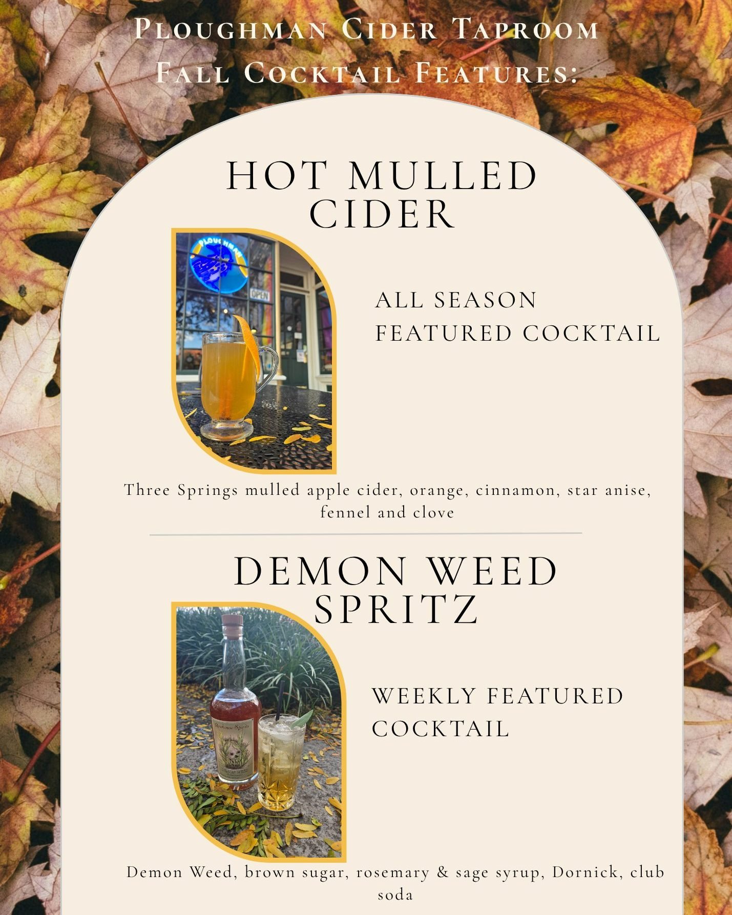 Featured Drinks! 

This weekend kicks off Ploughman's mulled cider season. Enjoy our house mulled non-alcoholic apple cider with your choice of spirit (or not) for the rest of the cold days ahead. 🍎

Also featuring the Demon Weed Spritz! Enjoy a war