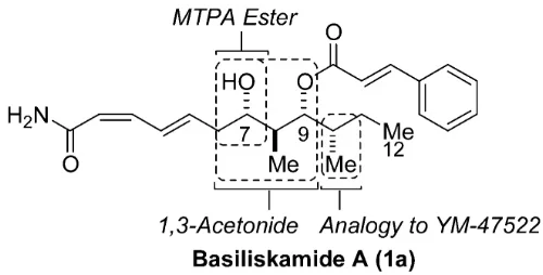 1 - basiliskamides.jpg