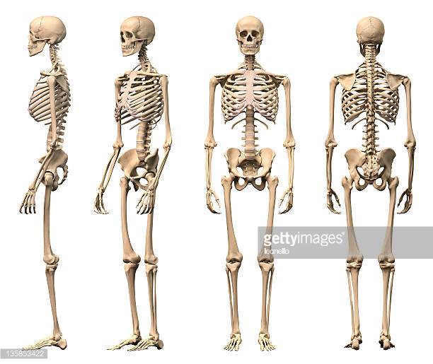 Osteoporosis Take-Away #2 and 3: Fracture and Fall Risk Reduction