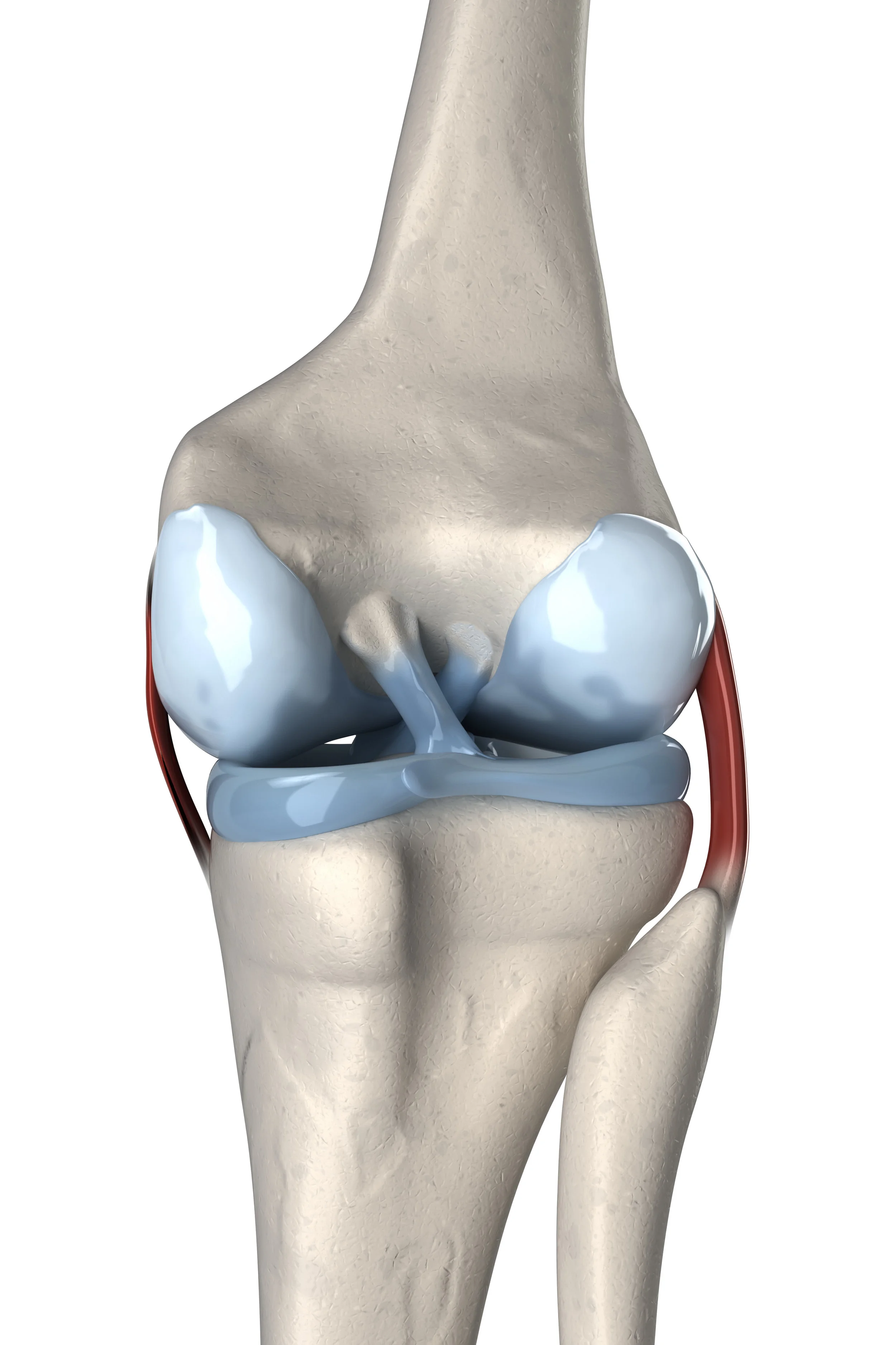 ACL Injury: What you need to know.