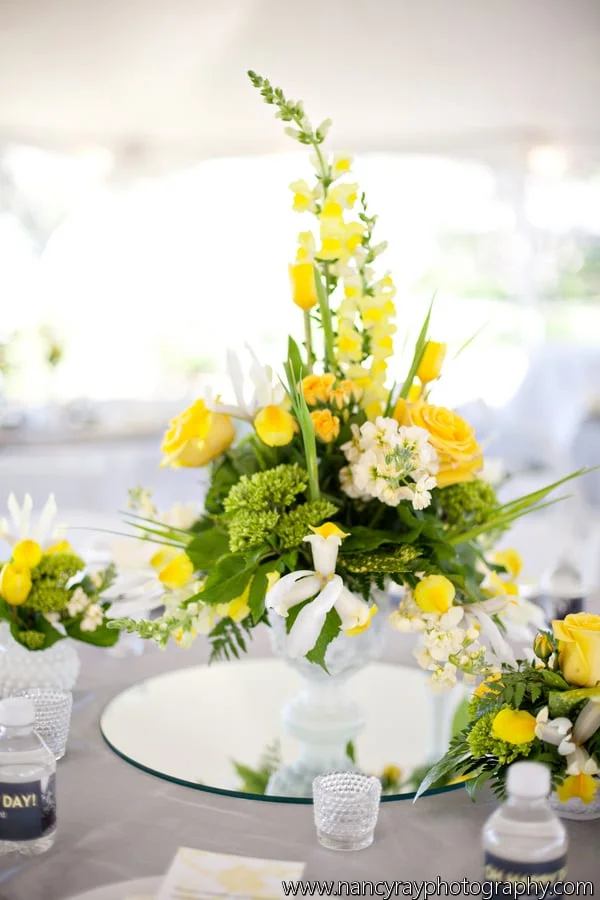 Barbe_Fitzpatrick_Nancy_Ray_Photography_nancyrayjenforwed3024_low
