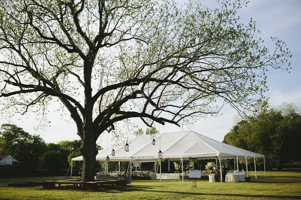 Morning Wild Photography