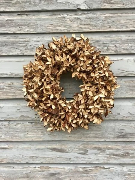 Southern Star Wreath.jpg