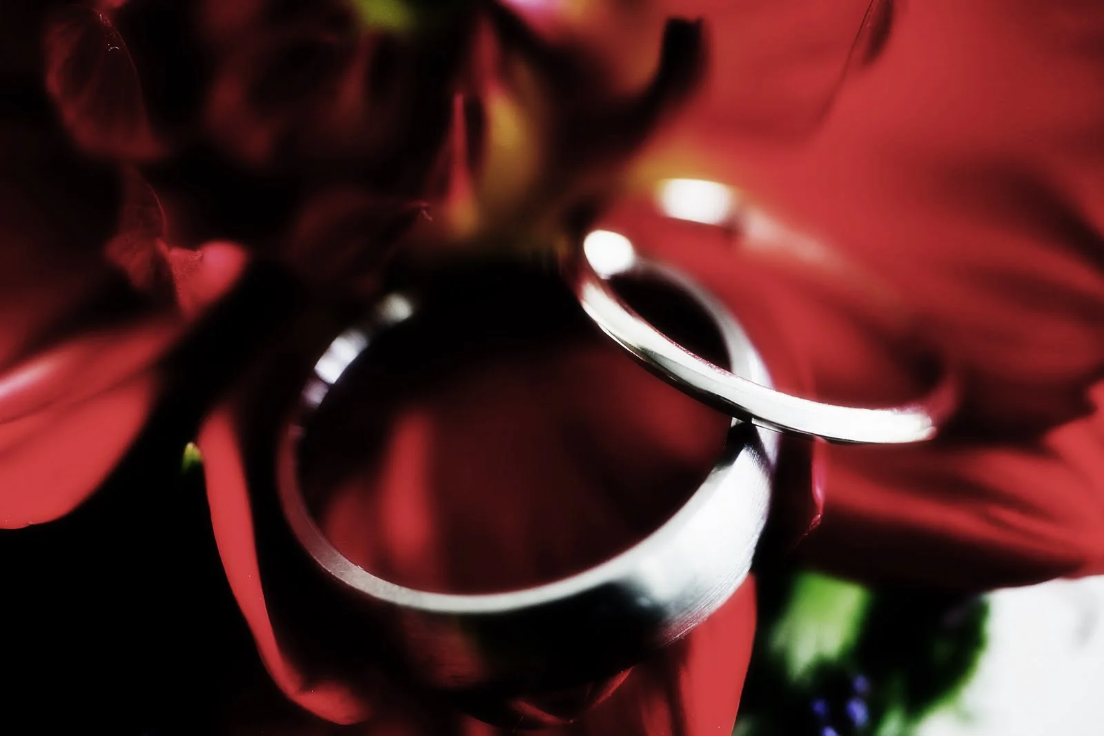 rings1.jpg