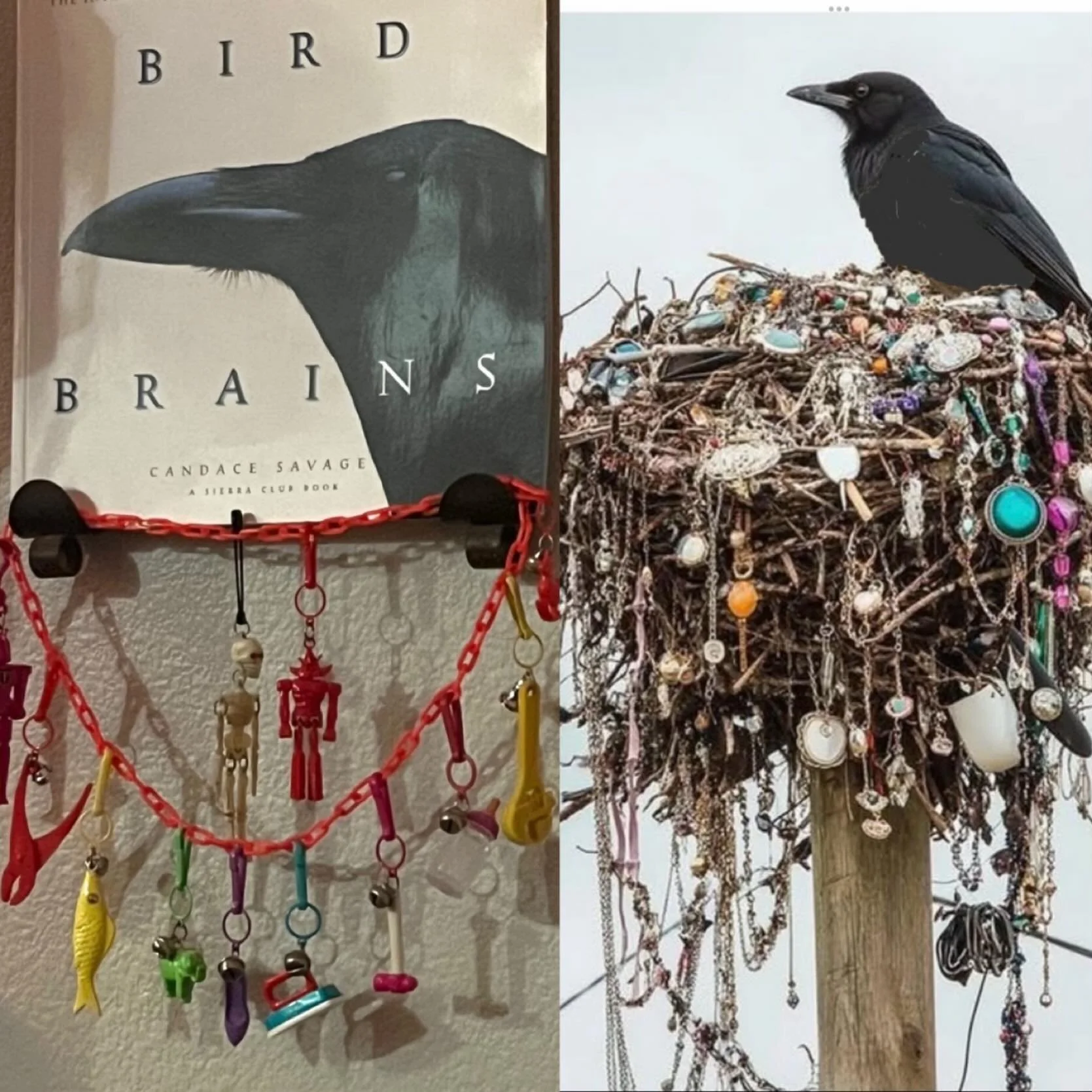 * LIFE IMITATES LIFE *
LIVE from the CROWS NEST - which twin wore it better?