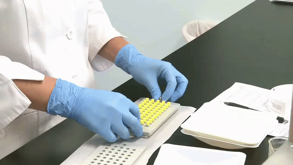 ezgif.com-video-to-gif.gif