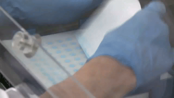 ezgif.com-video-to-gif (1).gif