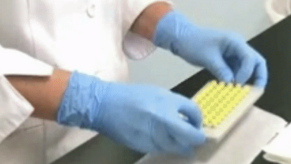 Dosage Forms GIF 2.gif