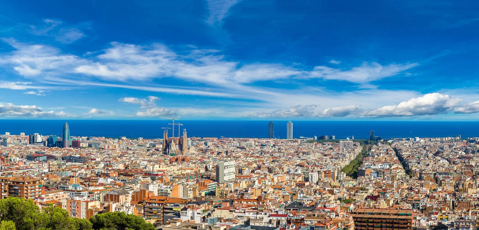 skyline-barcelona .jpg
