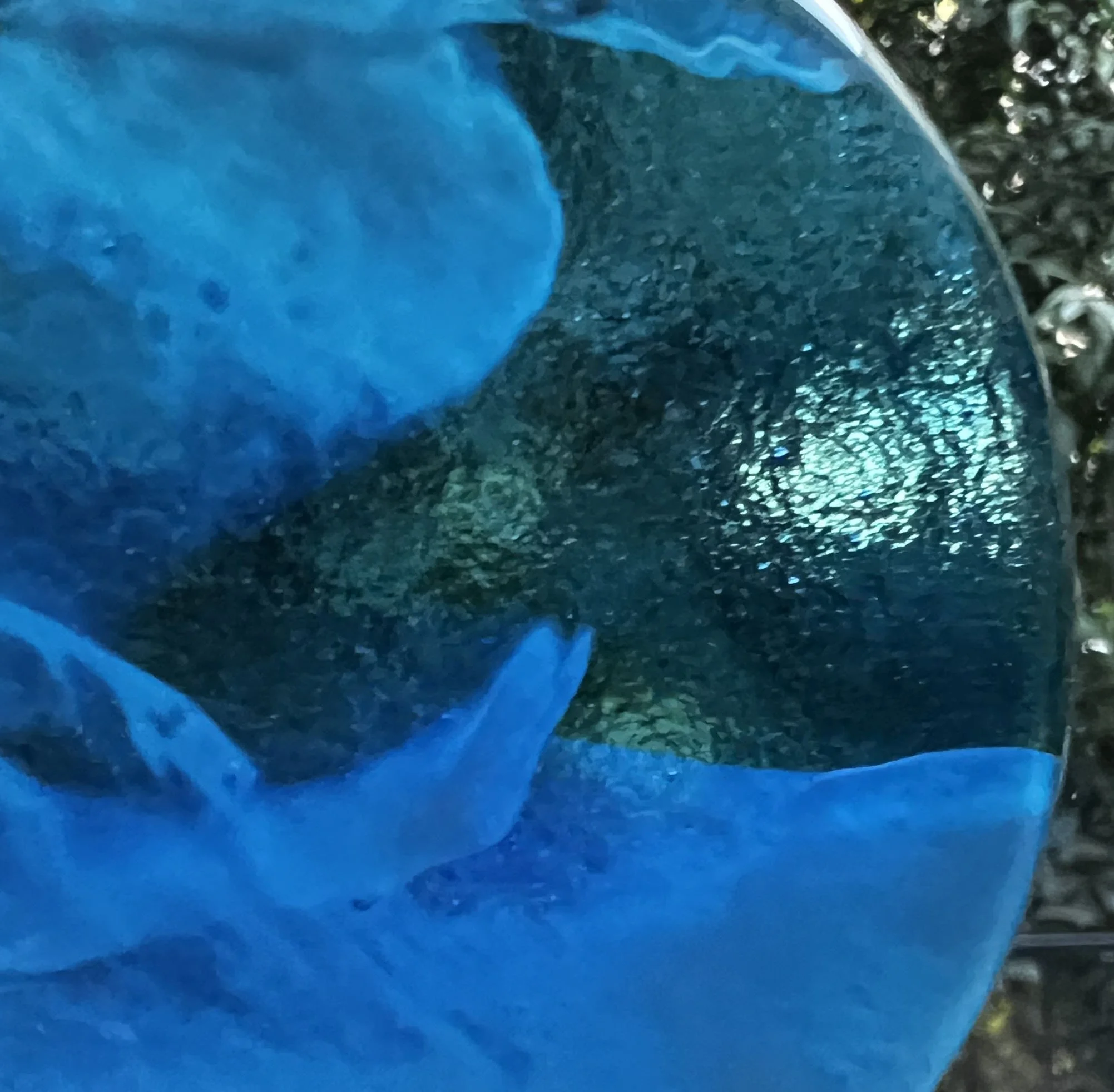 PopupSample-Oct17-StreakyOrnamentBlue-09252026.jpg