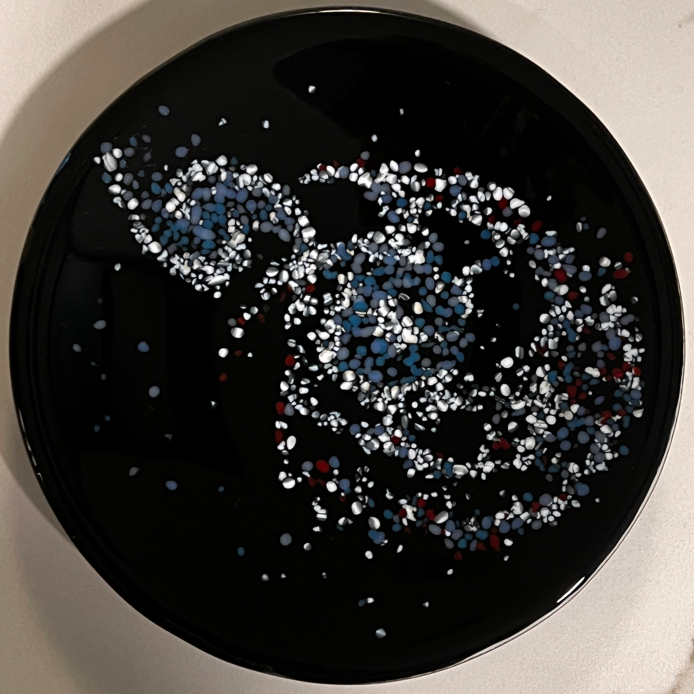 Medium Shallow Bowl