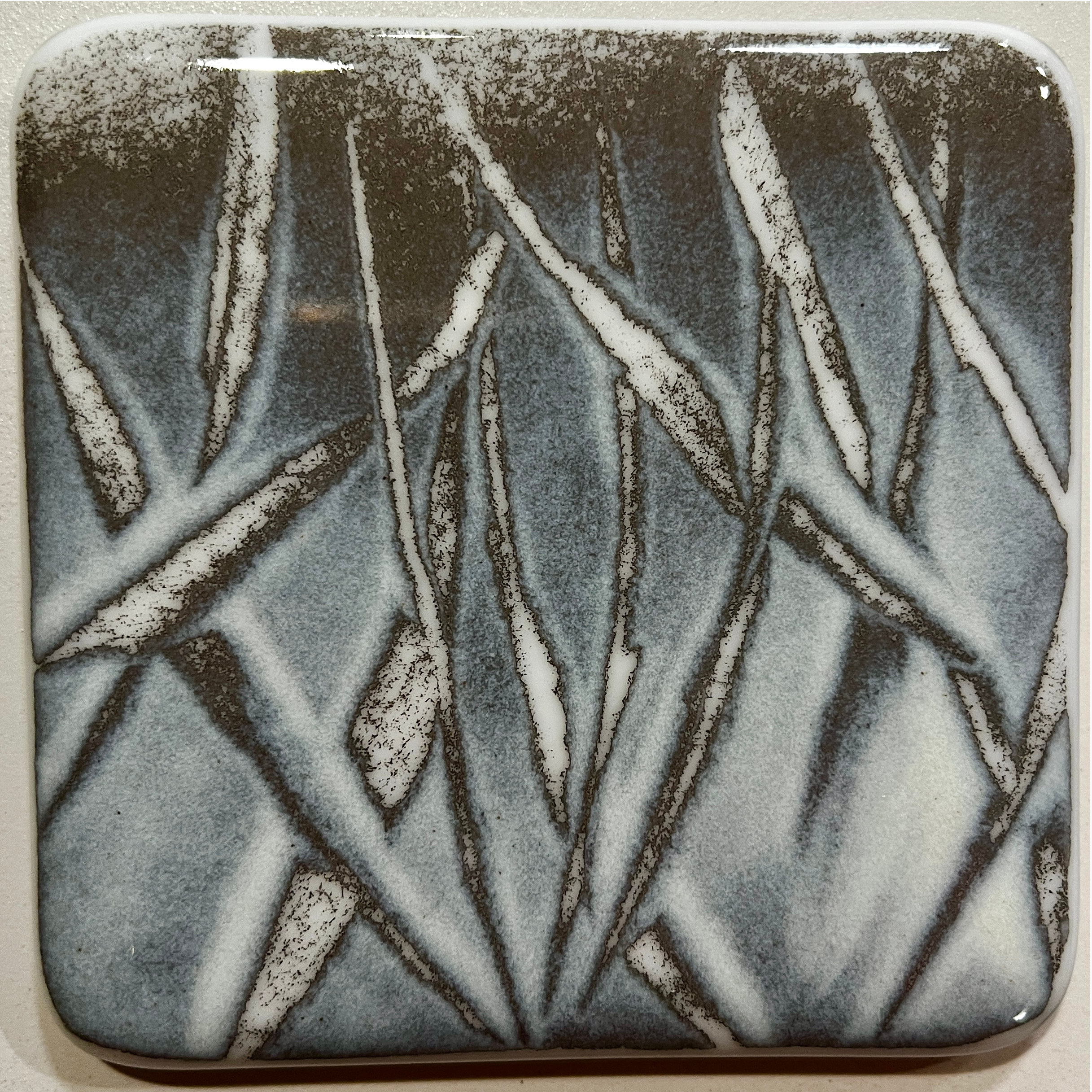 Coaster-WildgrassDenseWhiteFV-April2026.png