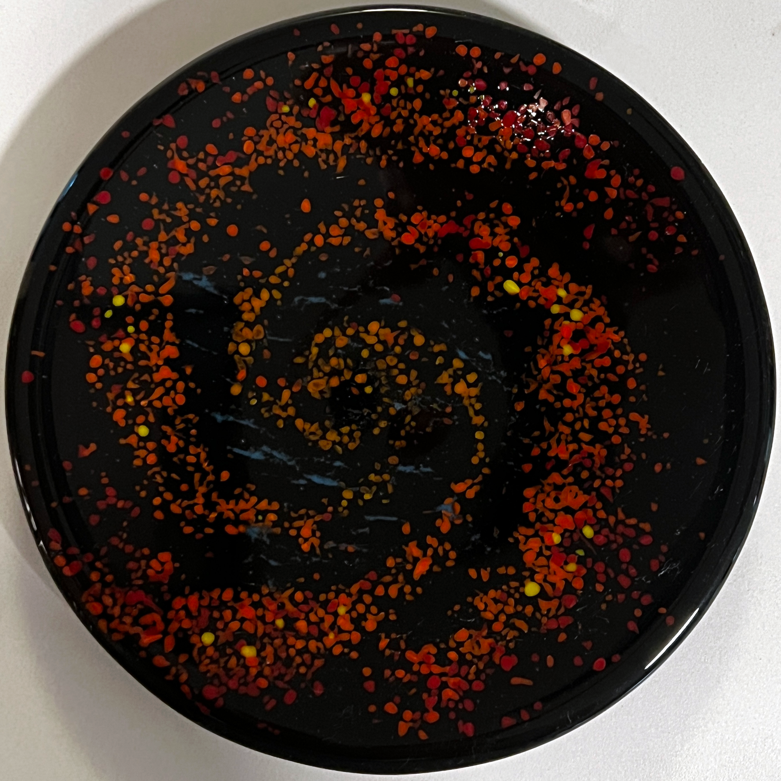 Medium Shallow Bowl