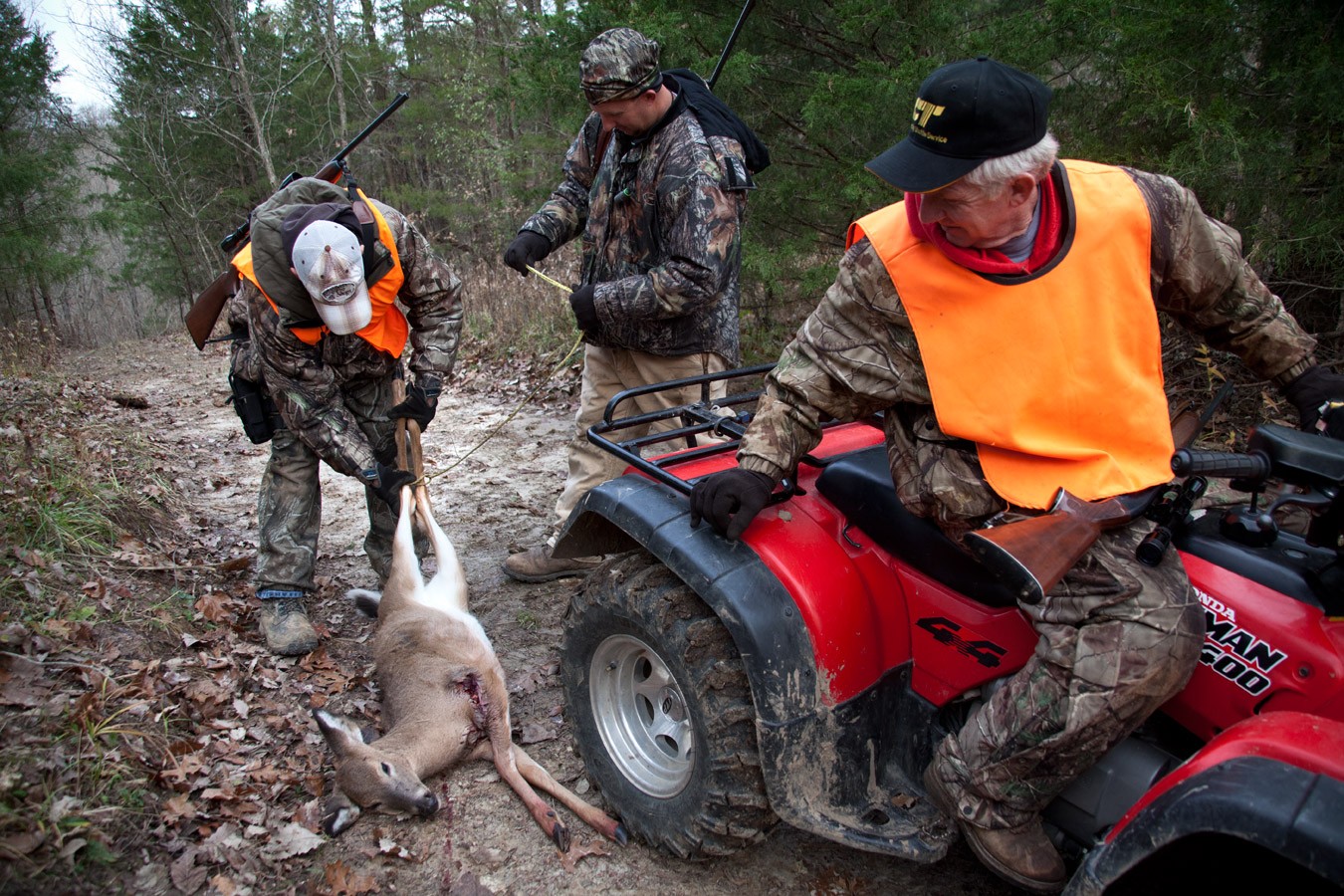 Deer Hunting Missouri Yearling