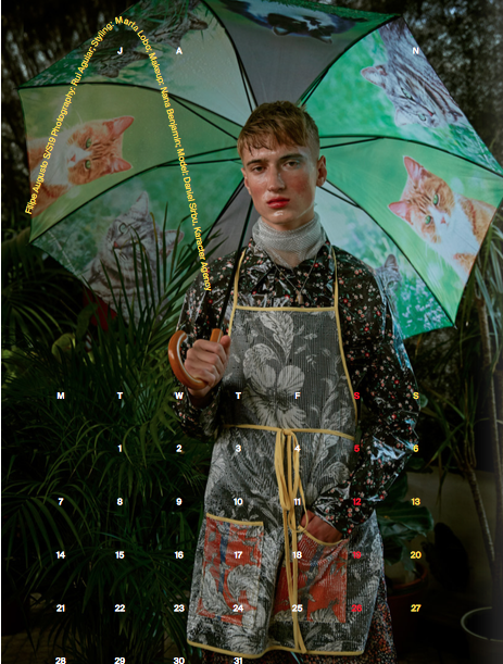 Captura de ecrã 2019-02-14, às 12.16.25.png