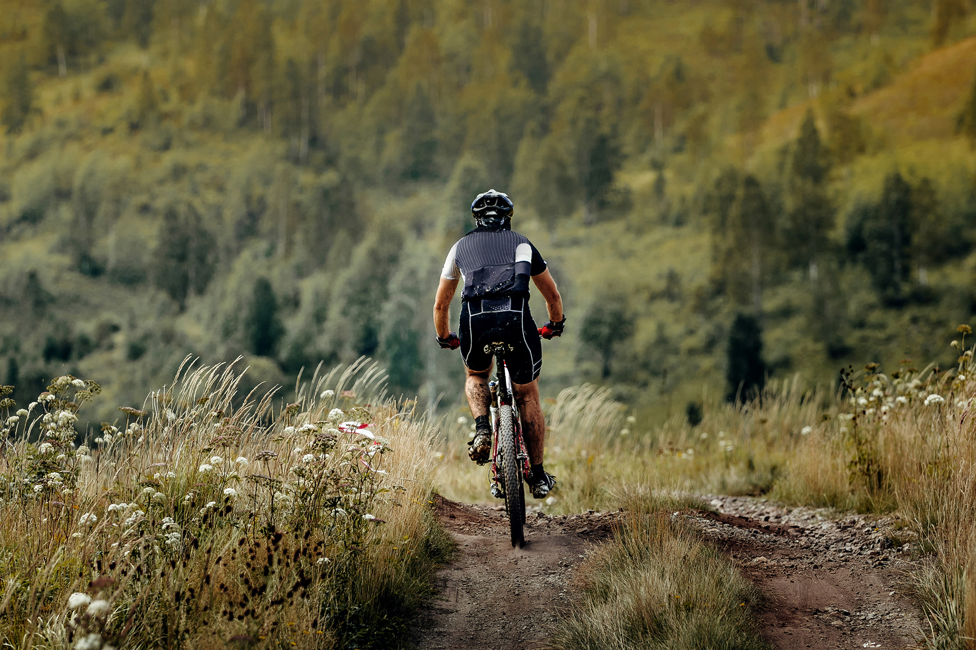 athlete-cyclist-mountainbiker-P6AP6SW2.jpg