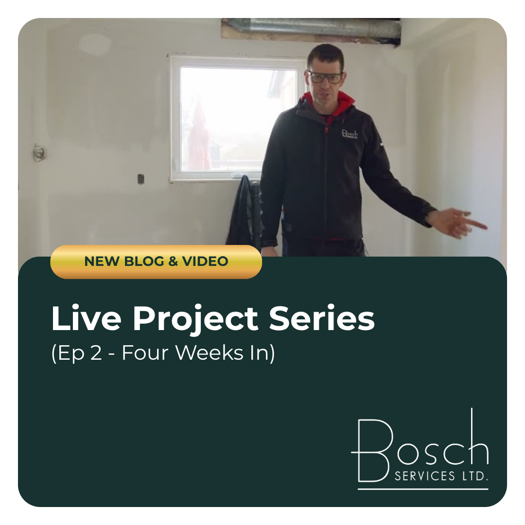 Live Project Series (Ep2 - Four Weeks In)