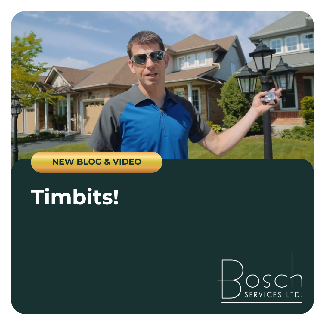 Timbits!