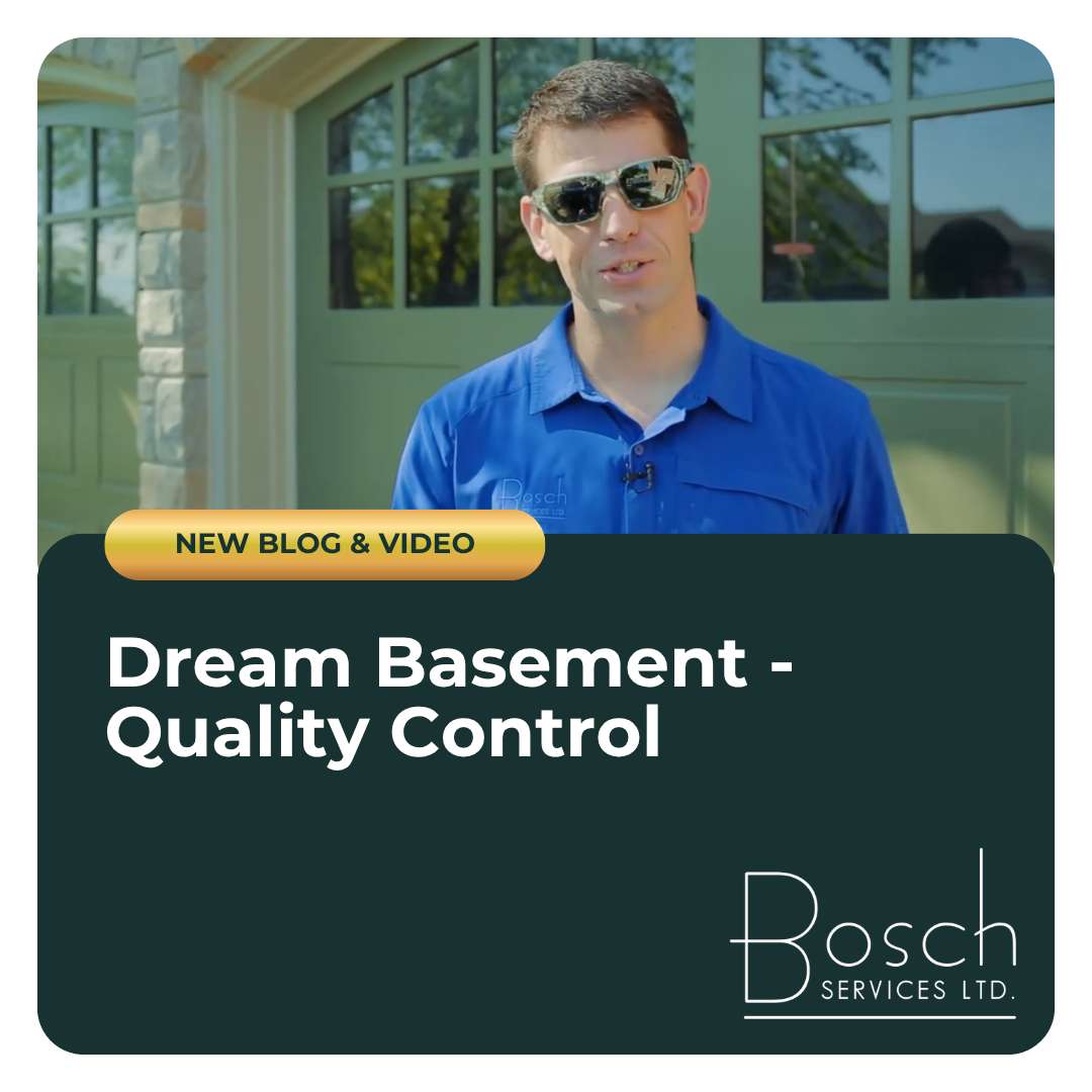 Dream Basement - Quality Control