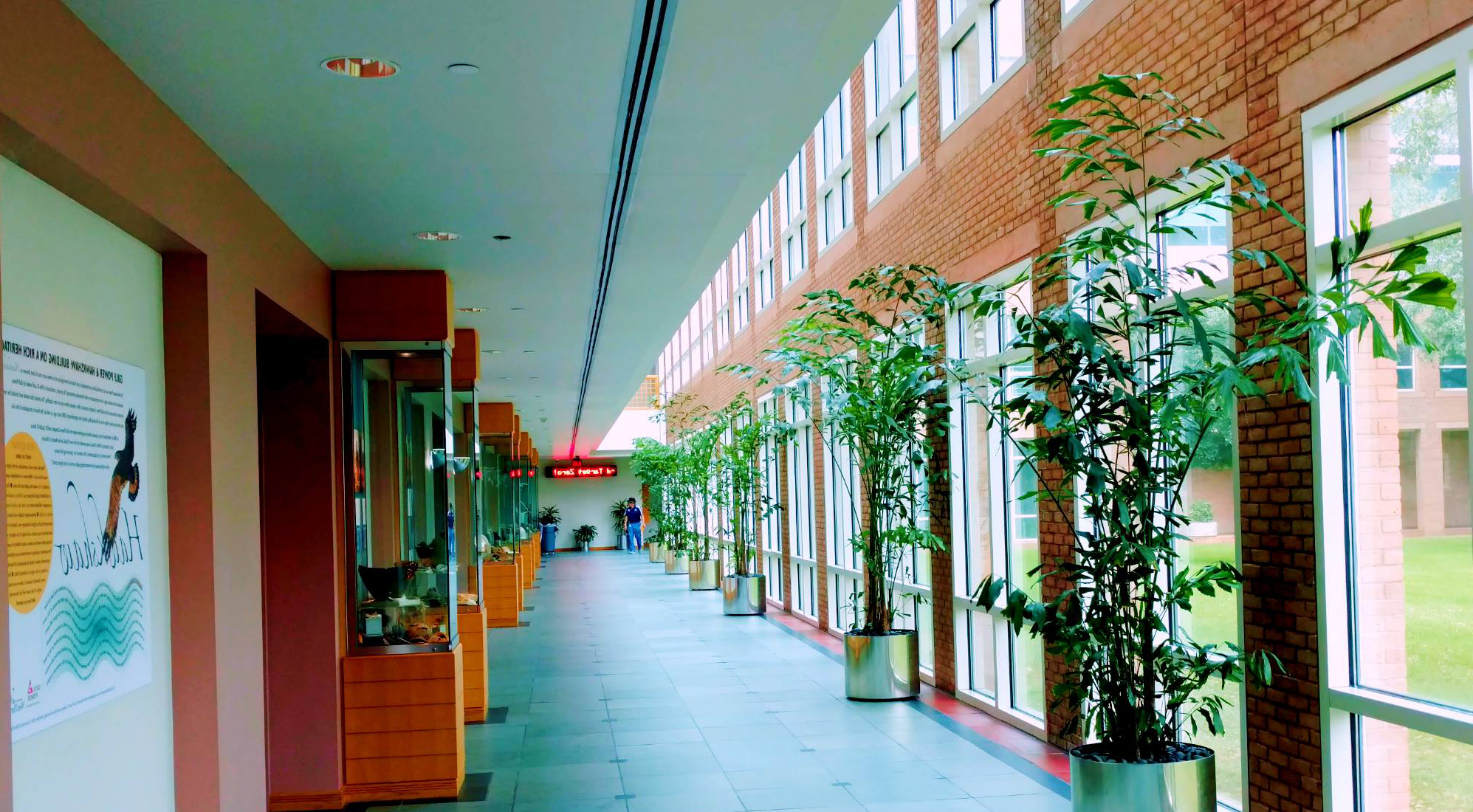 long hallway_reverse.jpg