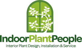 Indoor Plant People
