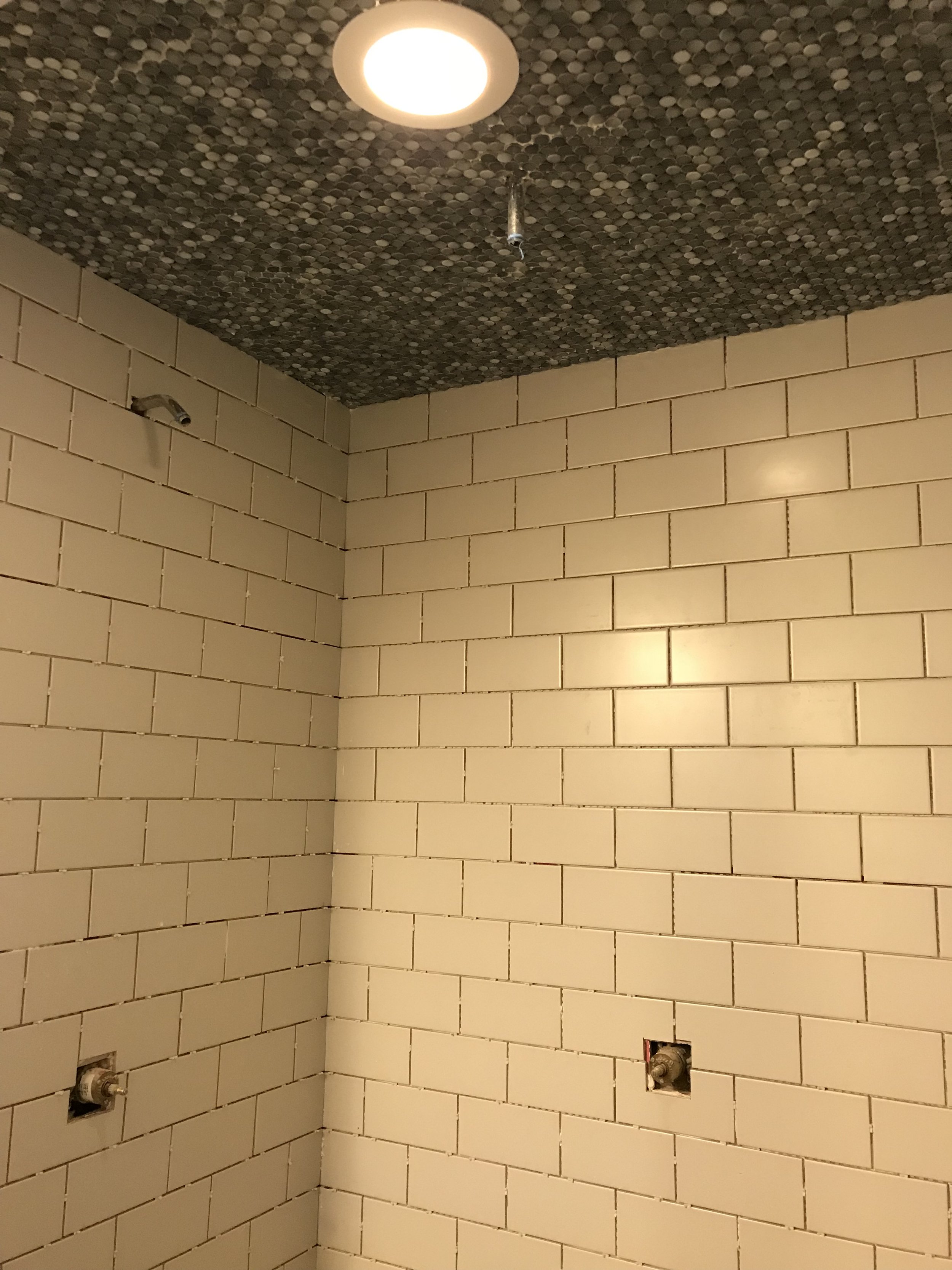 Master Bathroom (progress 1)