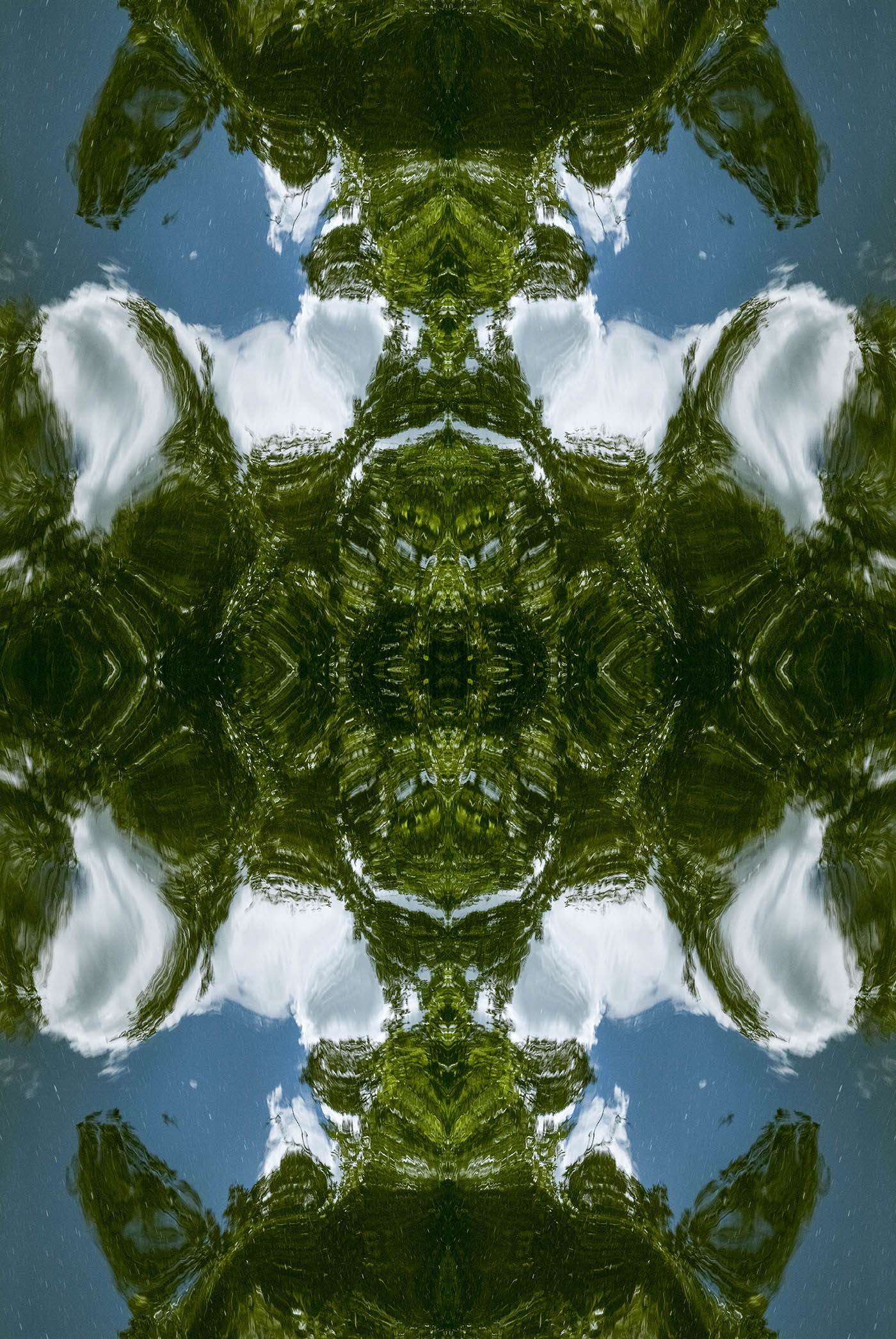 TURTLE ISLAND