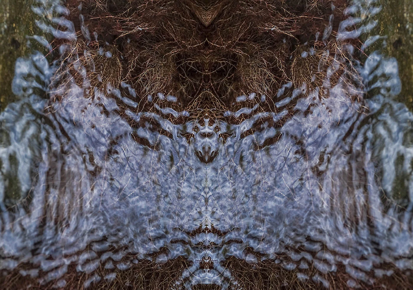 ROOTS OF RED