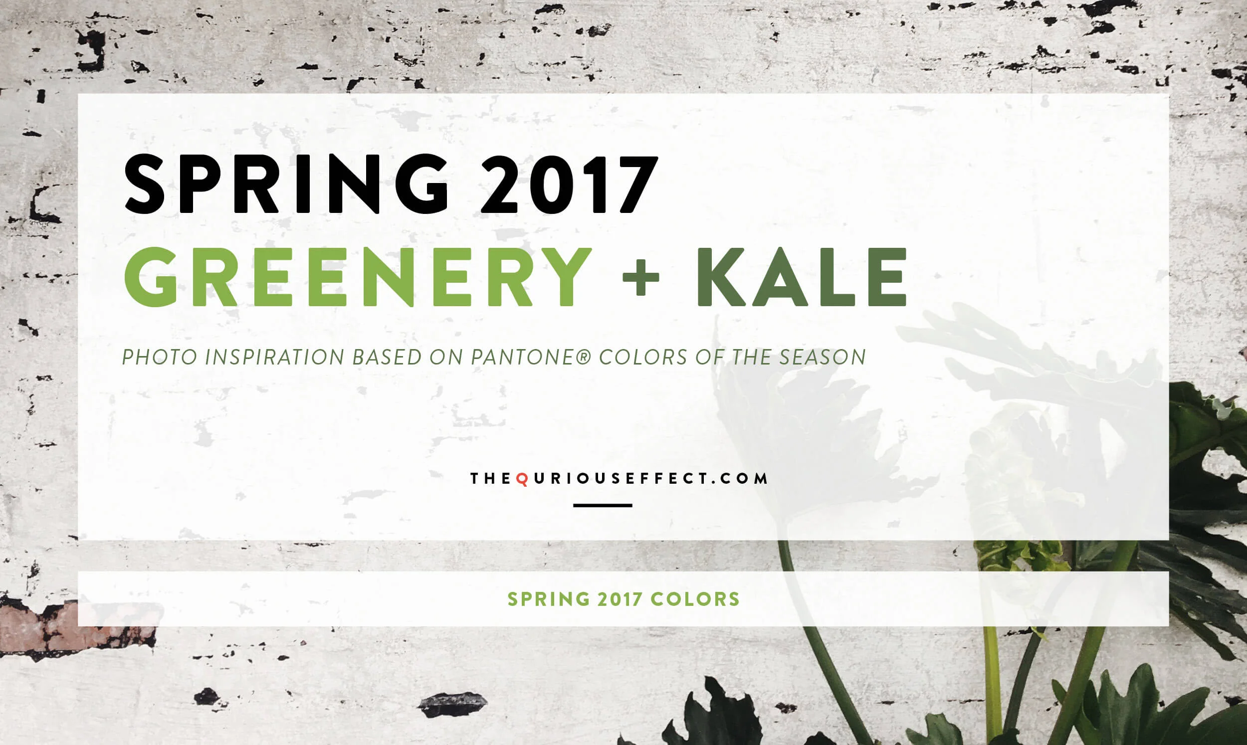 Spring 2017: Pantone® color series: Greenery + Kale