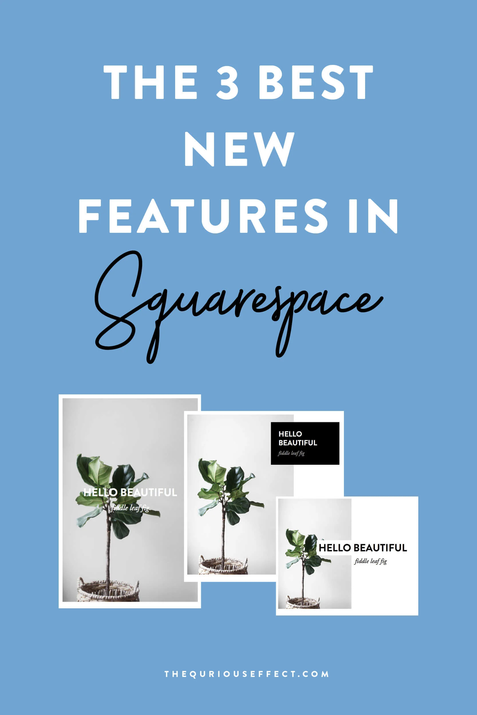 The 3 Best New Features in Squarespace.jpg