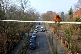 A squirrel bridge in East Berlin. Photo courtesy of Aktion Tier.
