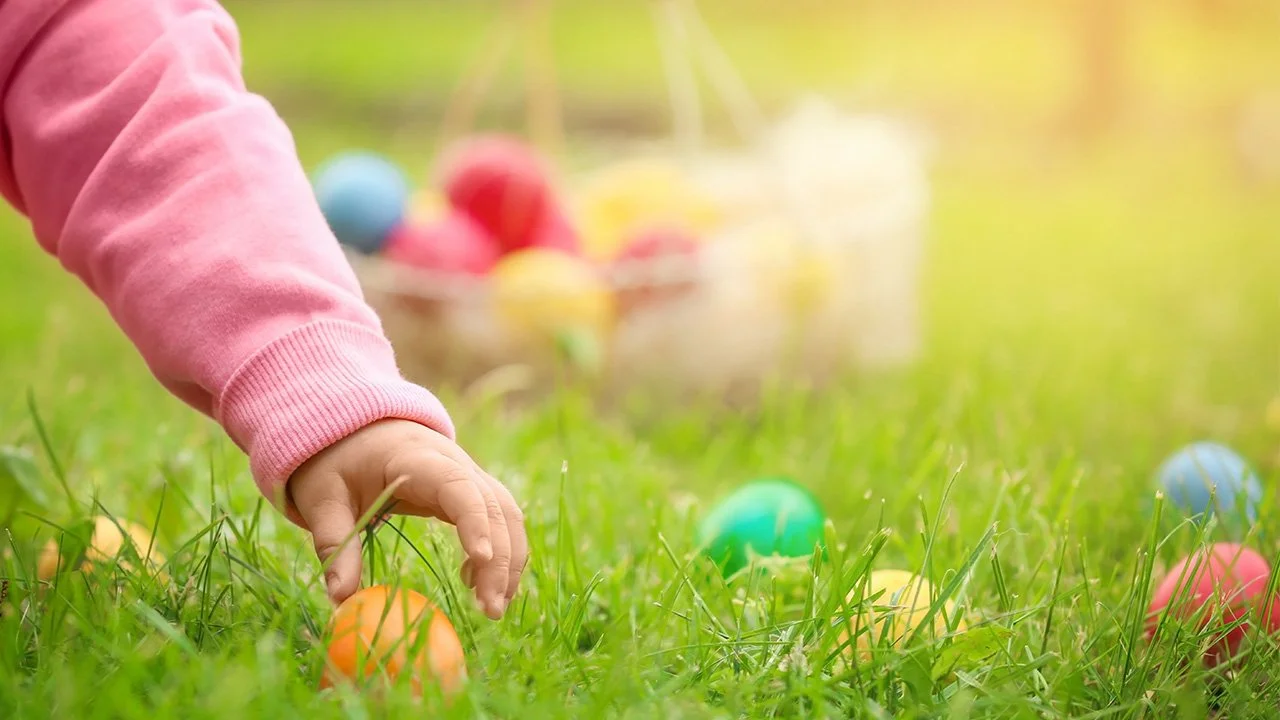 Egg Hunt Outreach